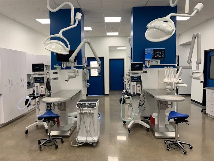 Veterinary Dentistry Specialists Picture 6