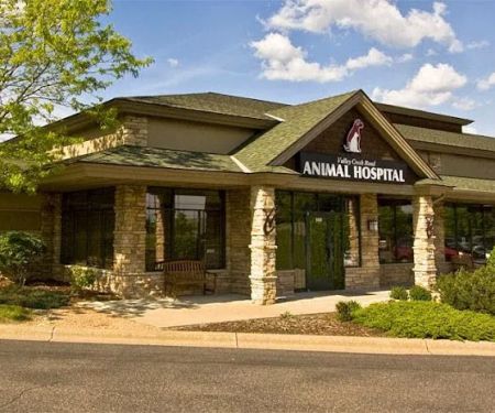 Valley Creek Road Animal Hospital