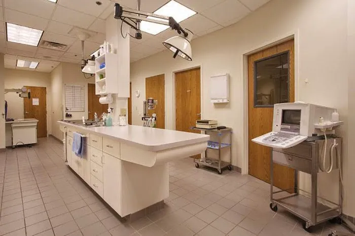 Valley Creek Road Animal Hospital Picture 3