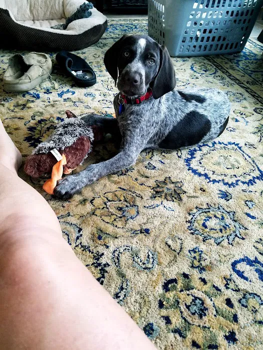 Cedar Pet Clinic Picture 3