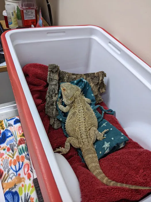 Cedar Pet Clinic Picture 9