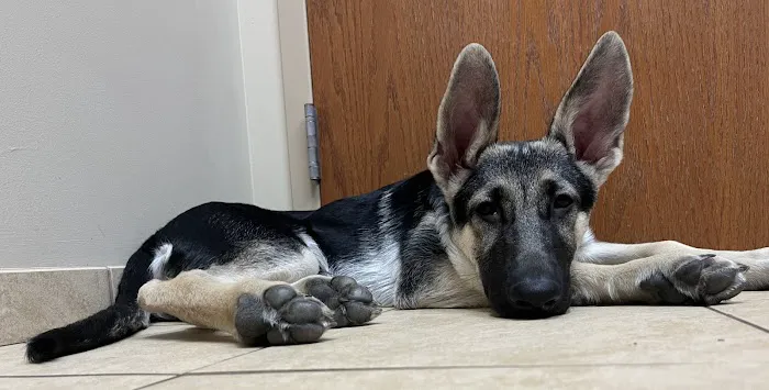 Westonka Animal Hospital Picture 5