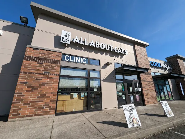 All About Cats Cat Clinic Picture 9