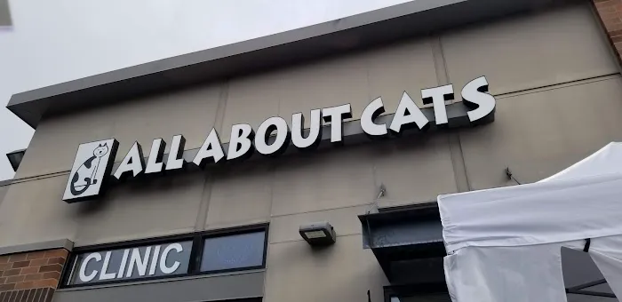 All About Cats Cat Clinic Picture 5
