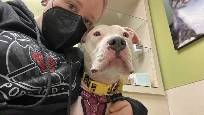 Frontier Veterinary Hospital Picture 3