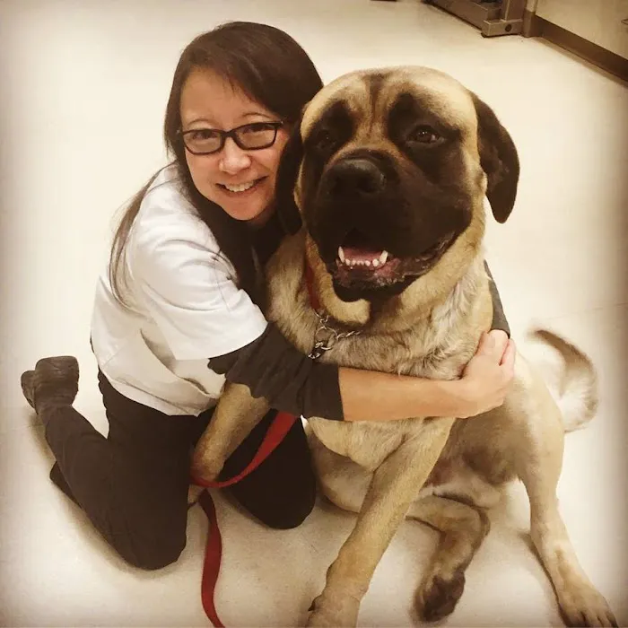 Frontier Veterinary Hospital Picture 10