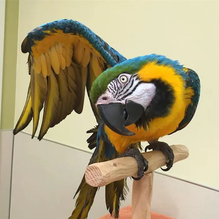 Frontier Veterinary Hospital Picture 9
