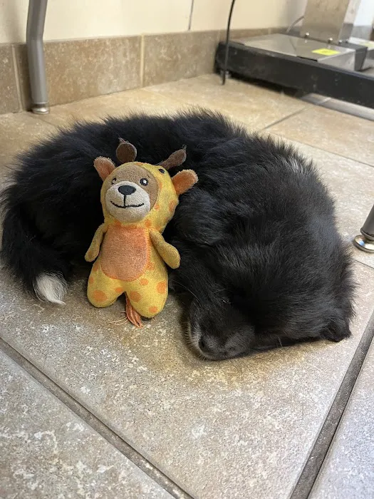 Frontier Veterinary Hospital Picture 2