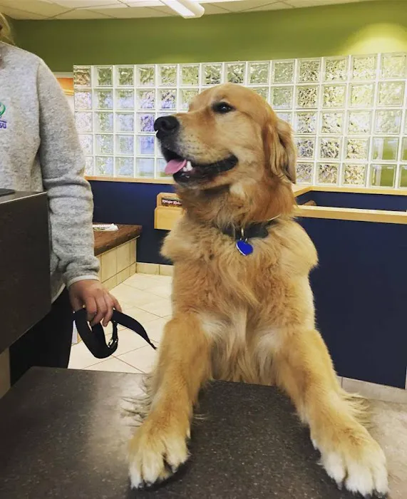 Frontier Veterinary Hospital Picture 7