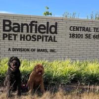 Banfield Headquarters ico
