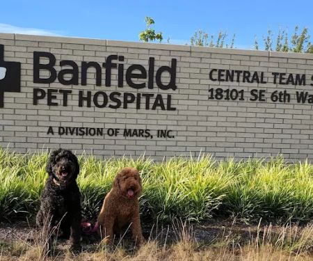 Banfield Headquarters