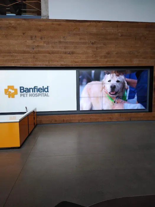 Banfield Headquarters Picture 2