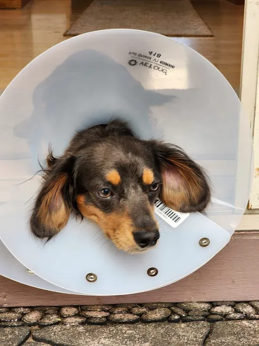 Banfield Pet Hospital Picture 2