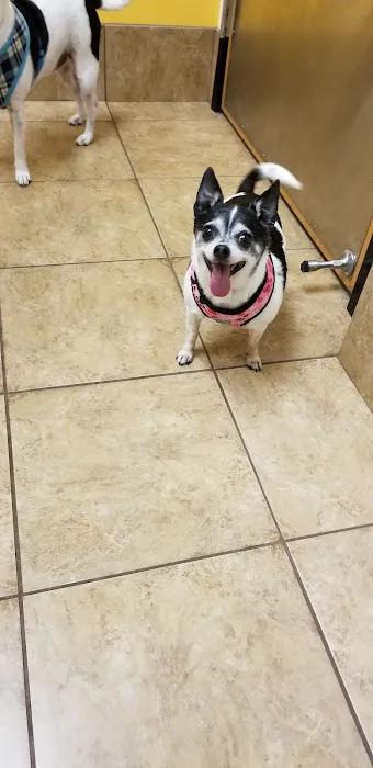Banfield Pet Hospital Picture 4