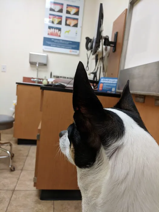 Banfield Pet Hospital Picture 3