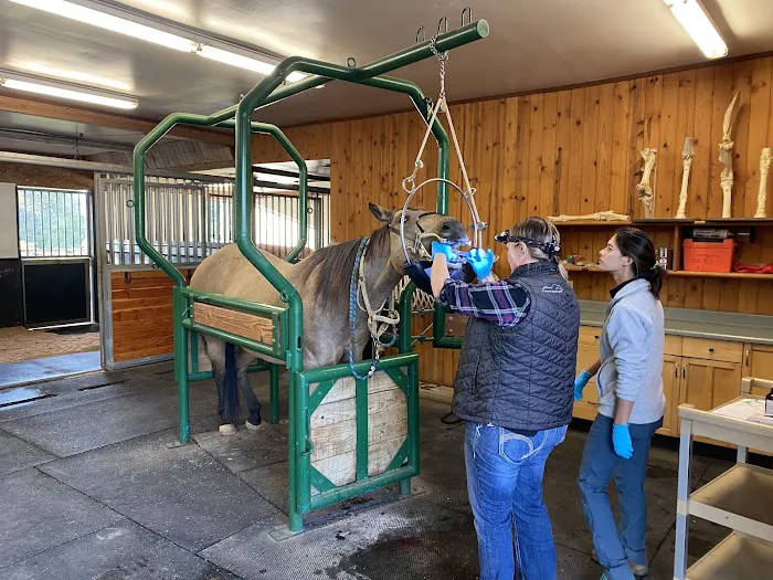 Columbia Equine Hospital Picture 4