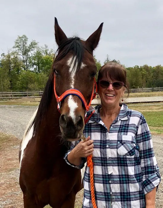 Columbia Equine Hospital Picture 6