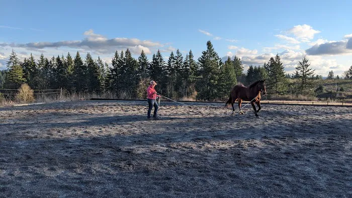 Pacific Crest Equine Veterinary Services Picture 3