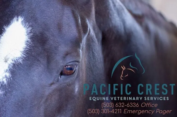 Pacific Crest Equine Veterinary Services Picture 2