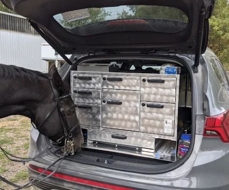 Pacific Crest Equine Veterinary Services