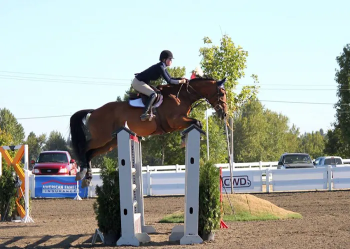 Countryside Equine Veterinary Service Picture 7