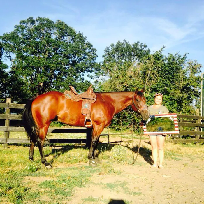 Countryside Equine Veterinary Service Picture 10