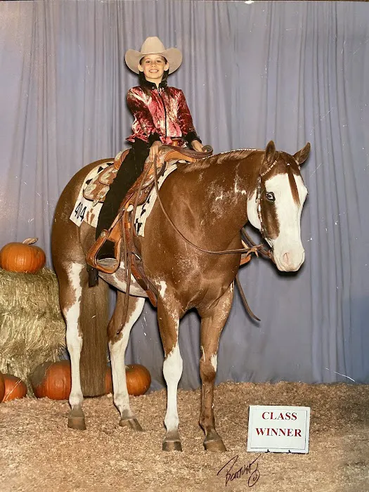 Countryside Equine Veterinary Service Picture 6