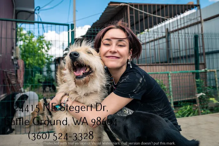 Best Friends Eternal, Home Pet Euthanasia Services Picture 4