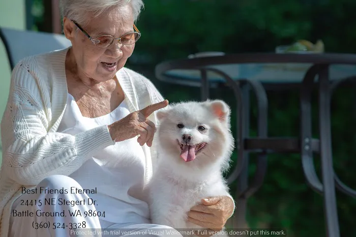 Best Friends Eternal, Home Pet Euthanasia Services Picture 5