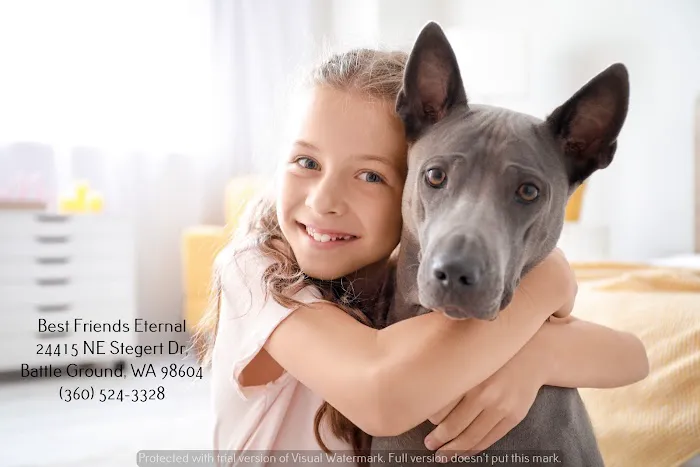 Best Friends Eternal, Home Pet Euthanasia Services Picture 2