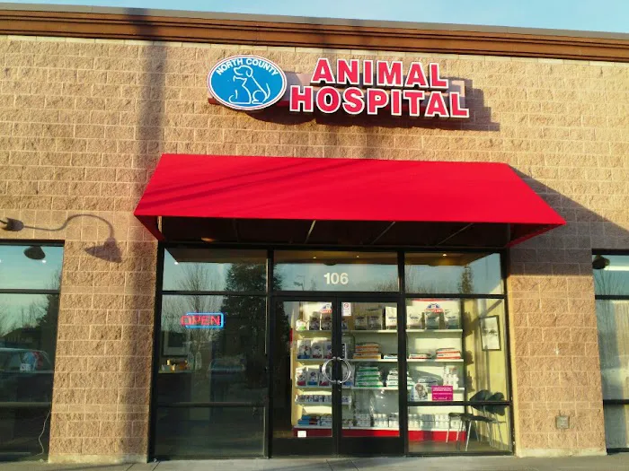 North County Animal Hospital Picture 5