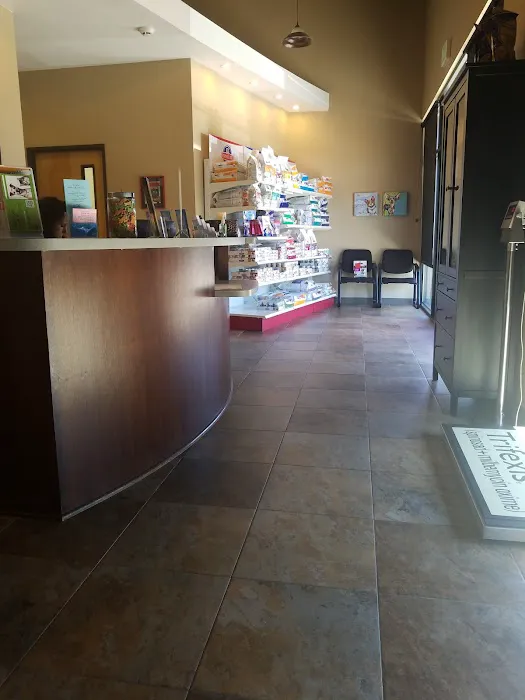 North County Animal Hospital Picture 4