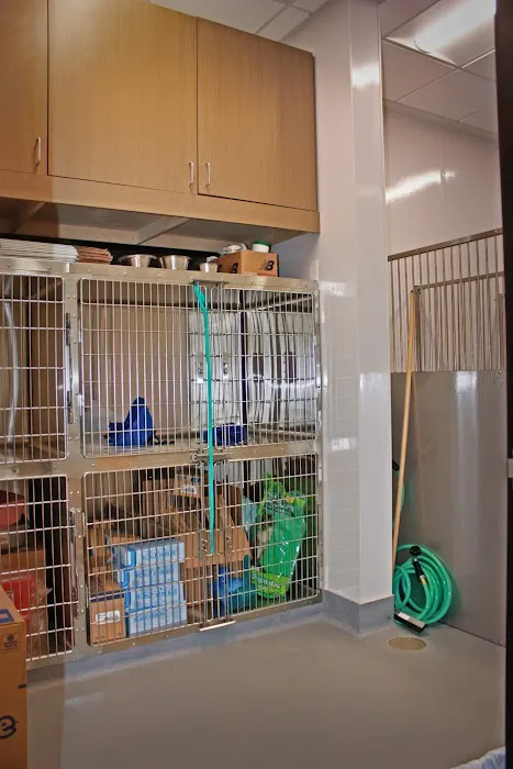 Royle Veterinary Clinic Picture 6