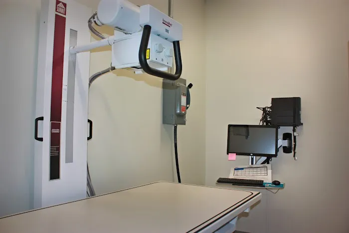 Royle Veterinary Clinic Picture 5