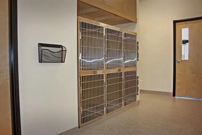 Royle Veterinary Clinic Picture 7