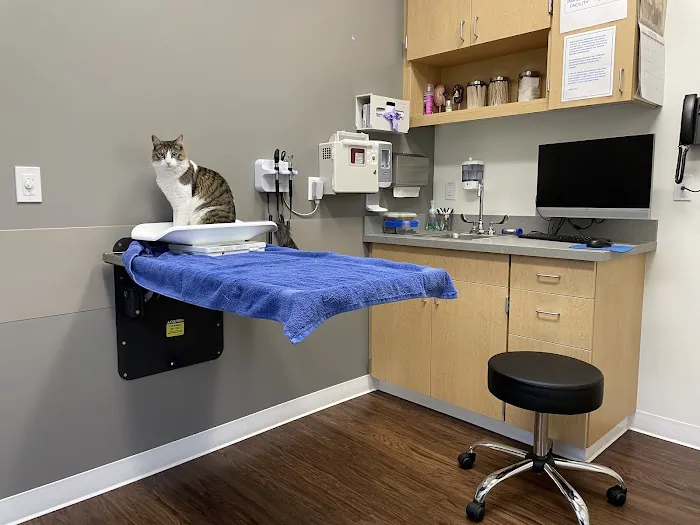 VCA Battle Ground Animal Hospital Picture 5