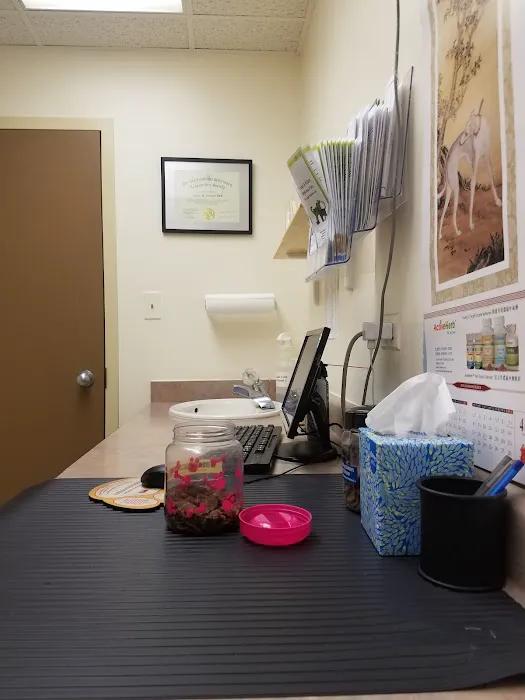 Belleview Animal Clinic Picture 4