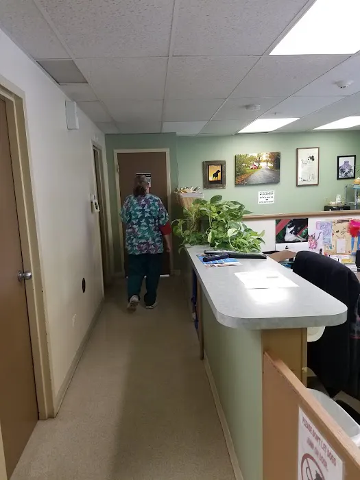 Belleview Animal Clinic Picture 3