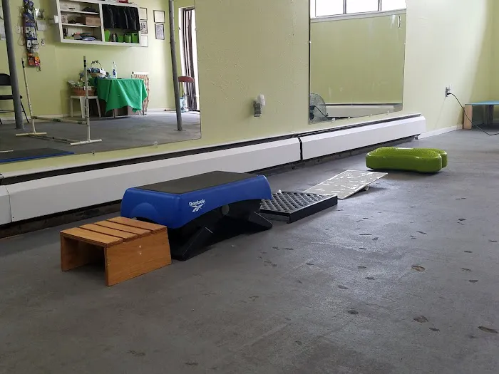 Belleview Animal Clinic Picture 8