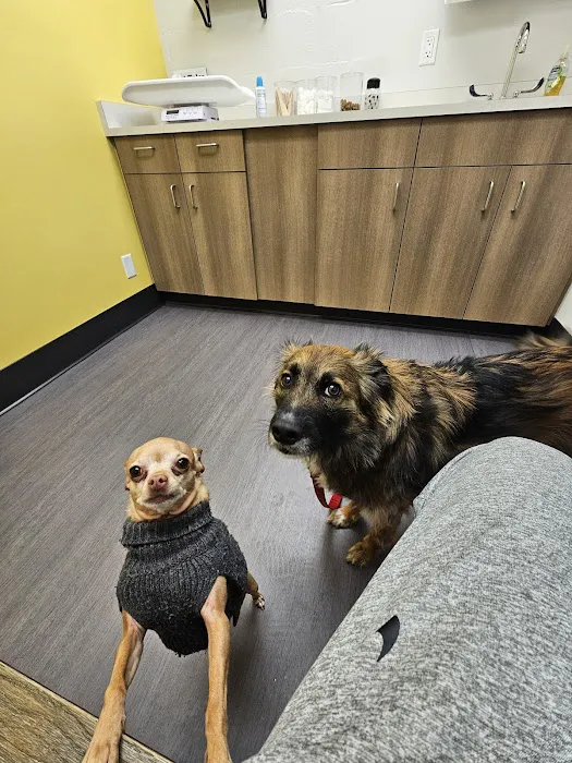 Nelson Animal Hospital Picture 9