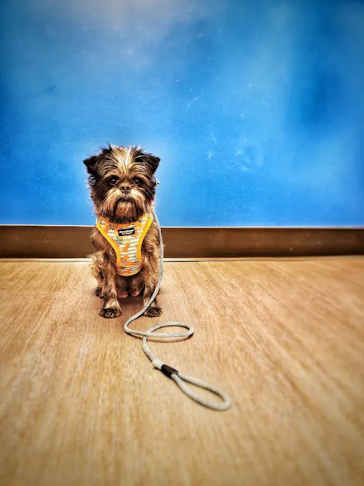 Nelson Animal Hospital Picture 6