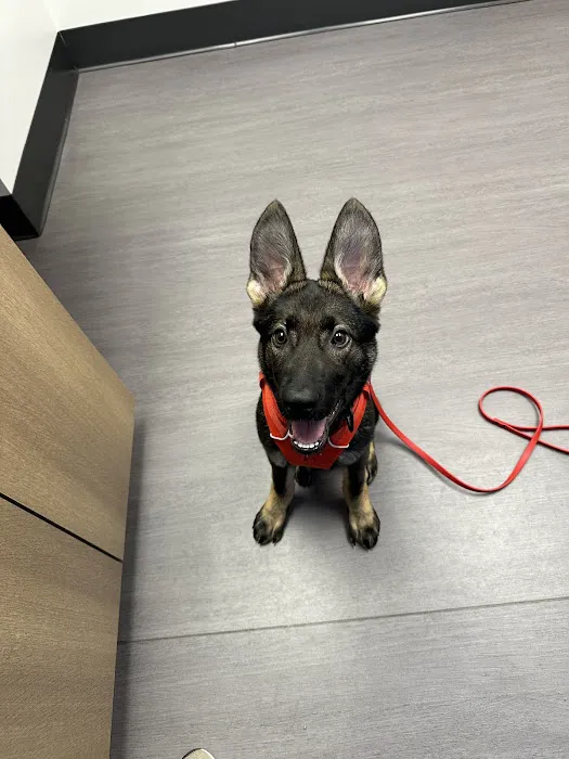 Nelson Animal Hospital Picture 8