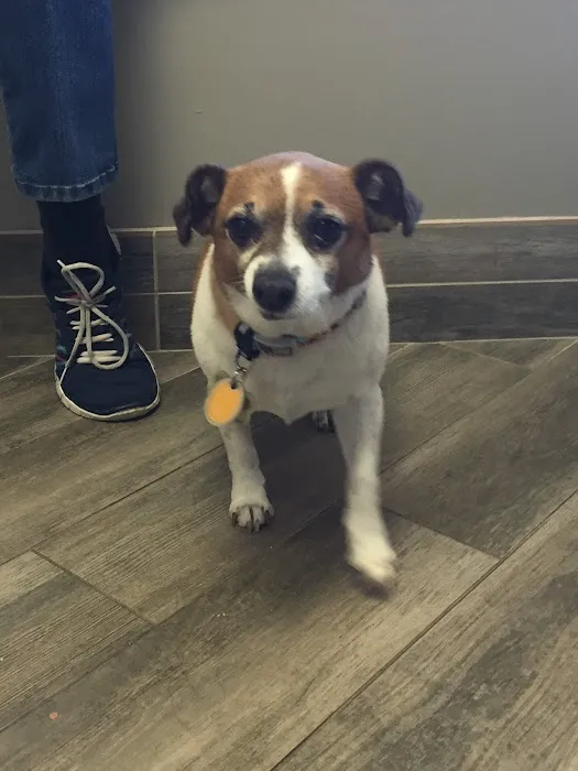 Woodlawn Veterinary Hospital Picture 8