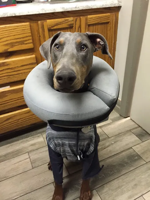Woodlawn Veterinary Hospital Picture 10
