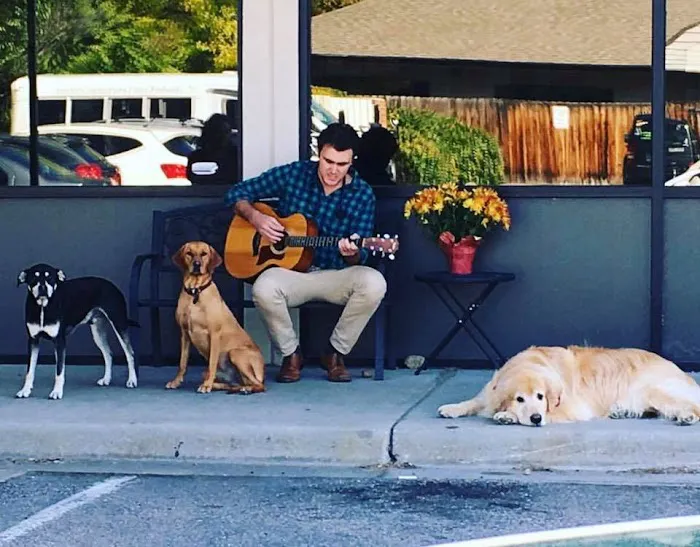 Fox Hollow Animal Hospital Picture 10