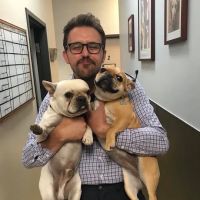 Fox Hollow Animal Hospital ico