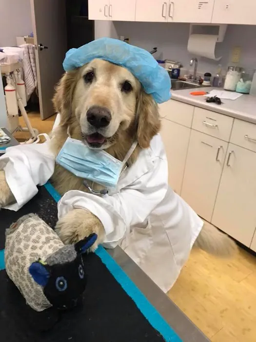 Fox Hollow Animal Hospital Picture 7