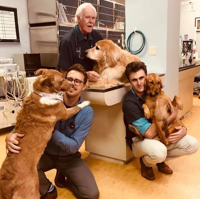 Fox Hollow Animal Hospital Picture 8