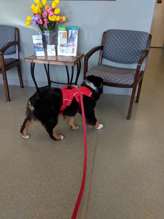Littleton Paws Animal Hospital Picture 4