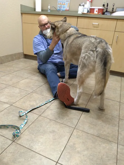Belleview West Animal Hospital Picture 5
